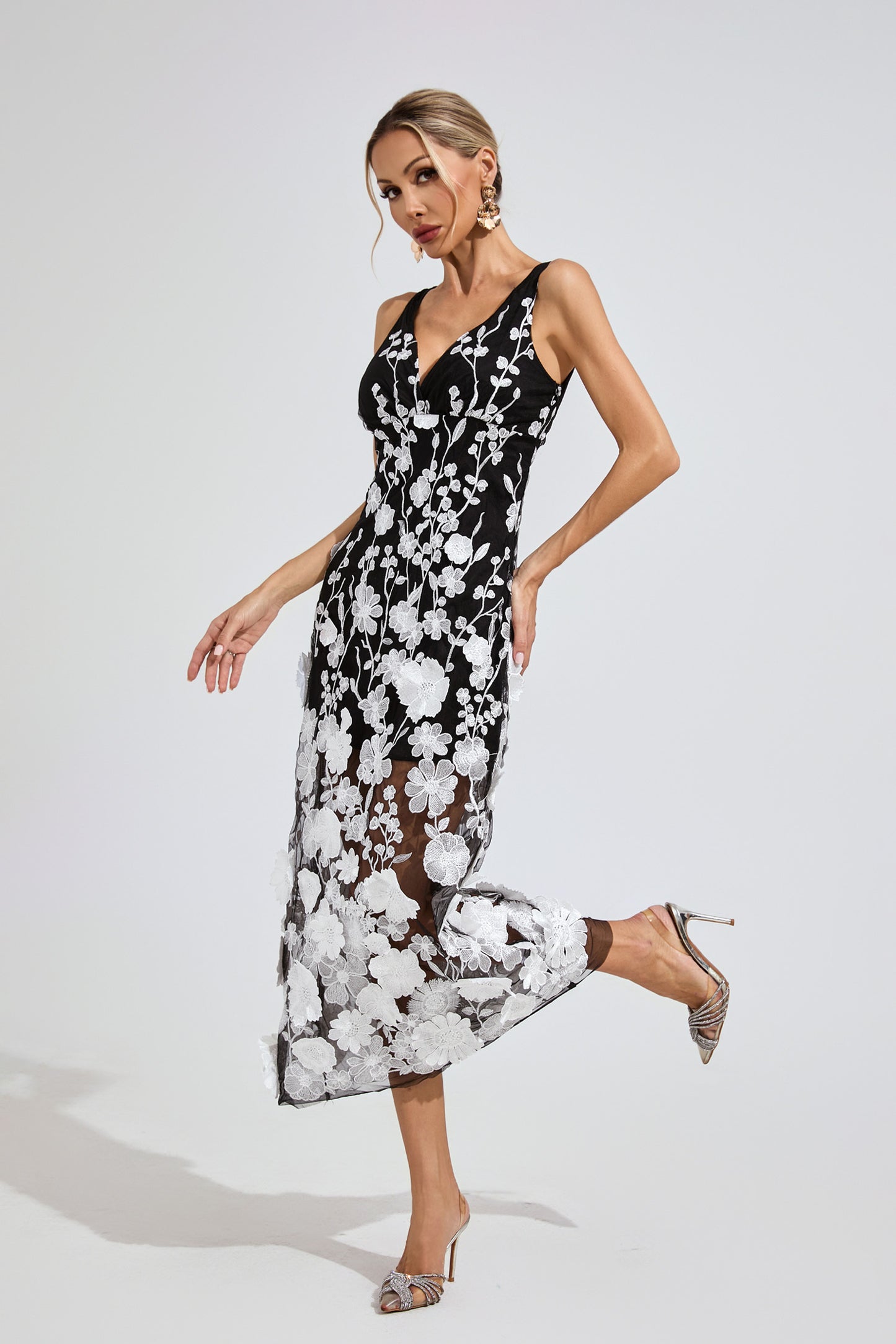 Midnight Garden Embroidered Dress