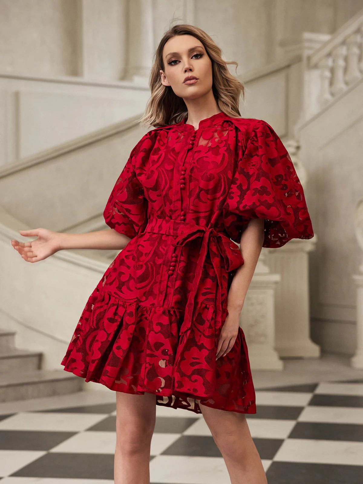 Isadora Embroidered Organza Mini Dress