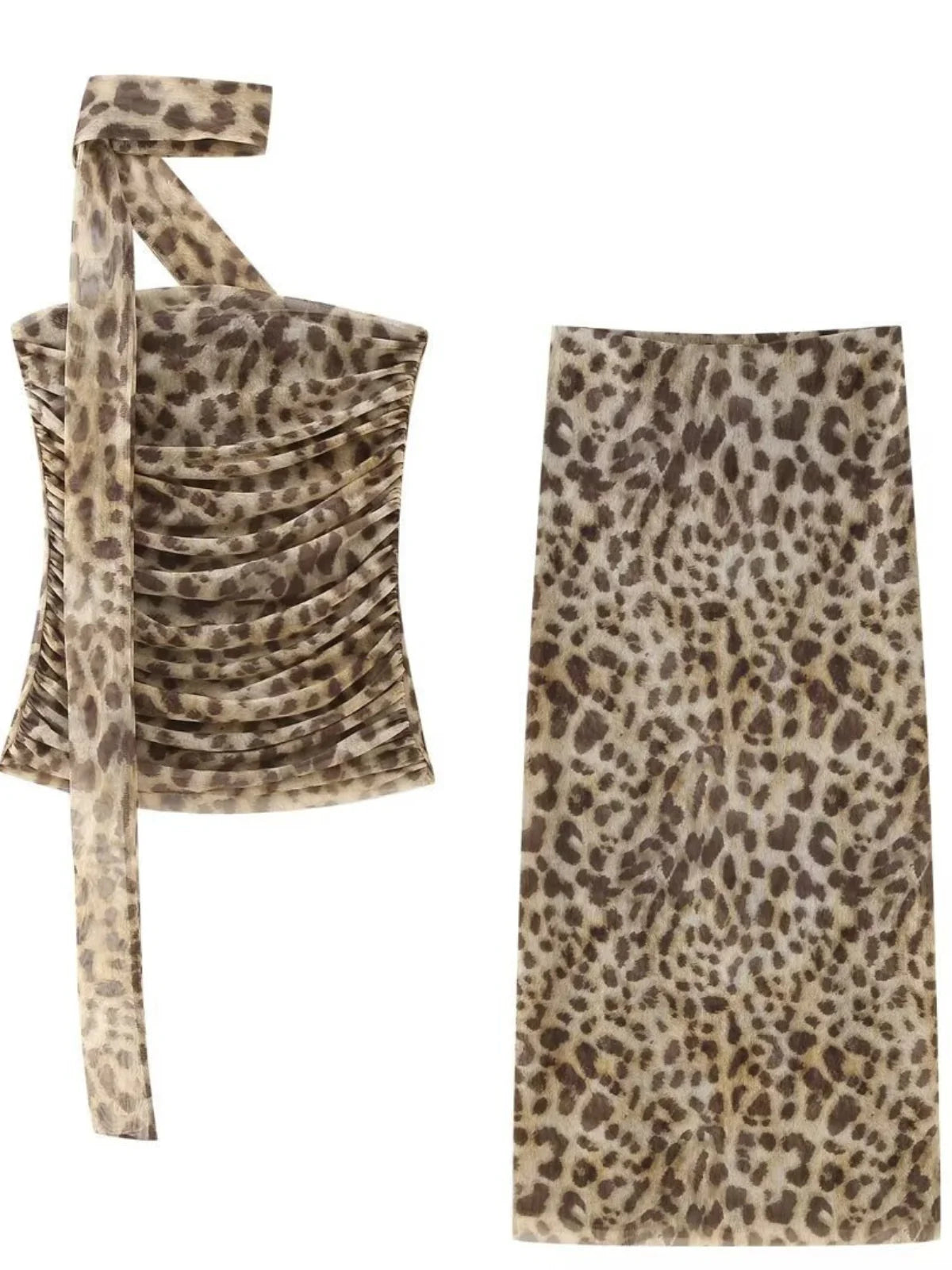 Sasha Leopard Mesh Two-Piece Set