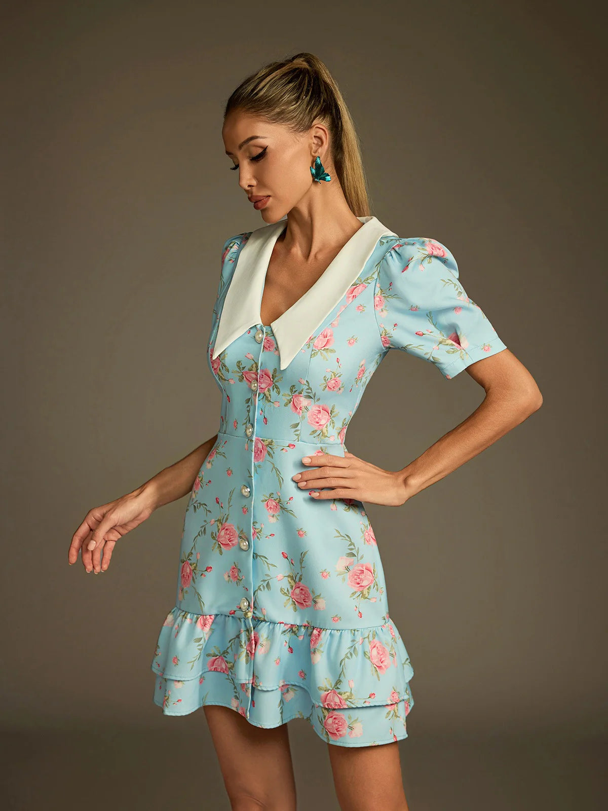 Rosemary Garden Collar Dress