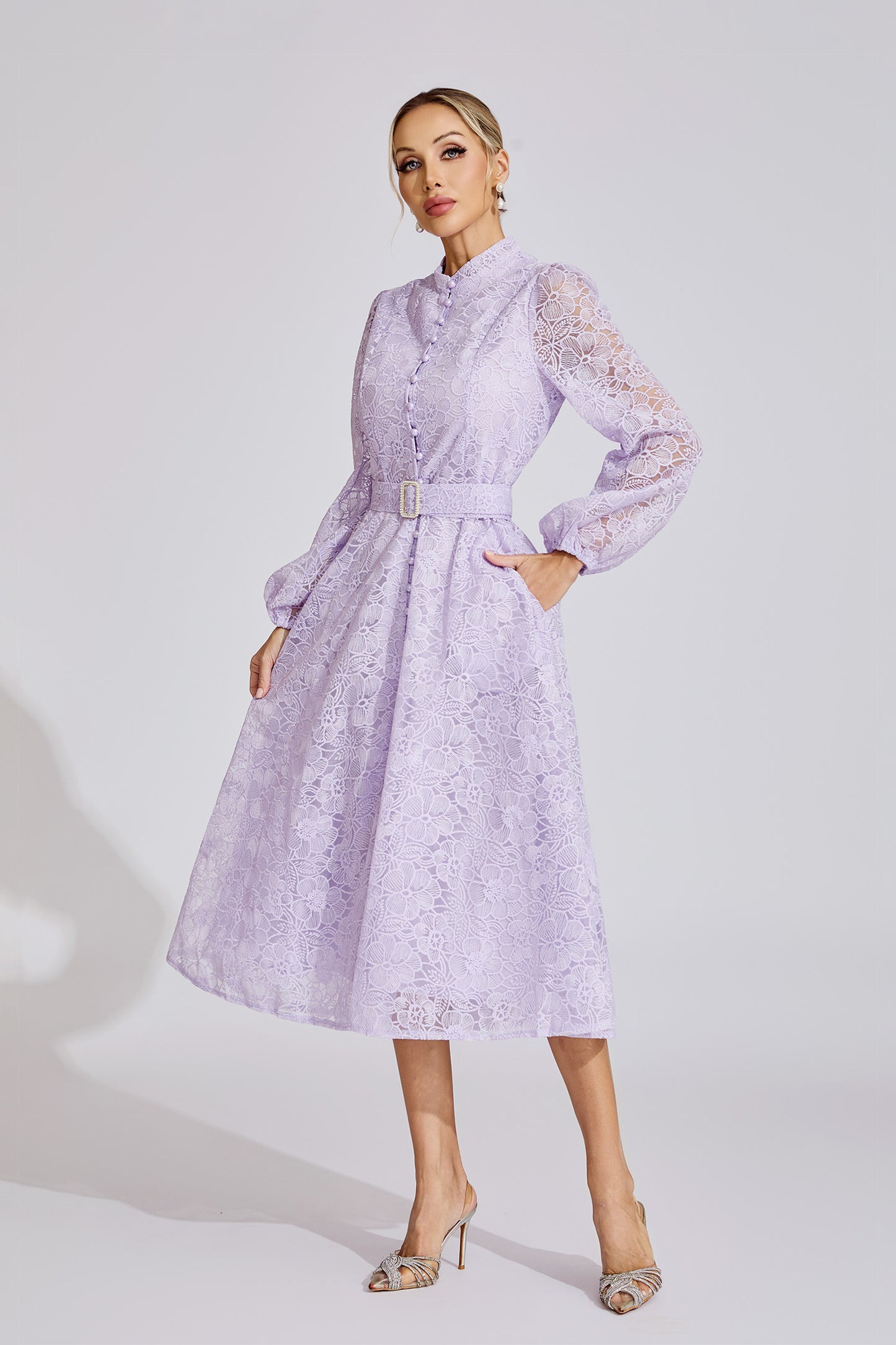 Liliane Embroidered Lace Midi Dress