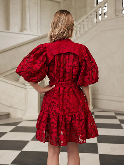 Isadora Embroidered Organza Mini Dress