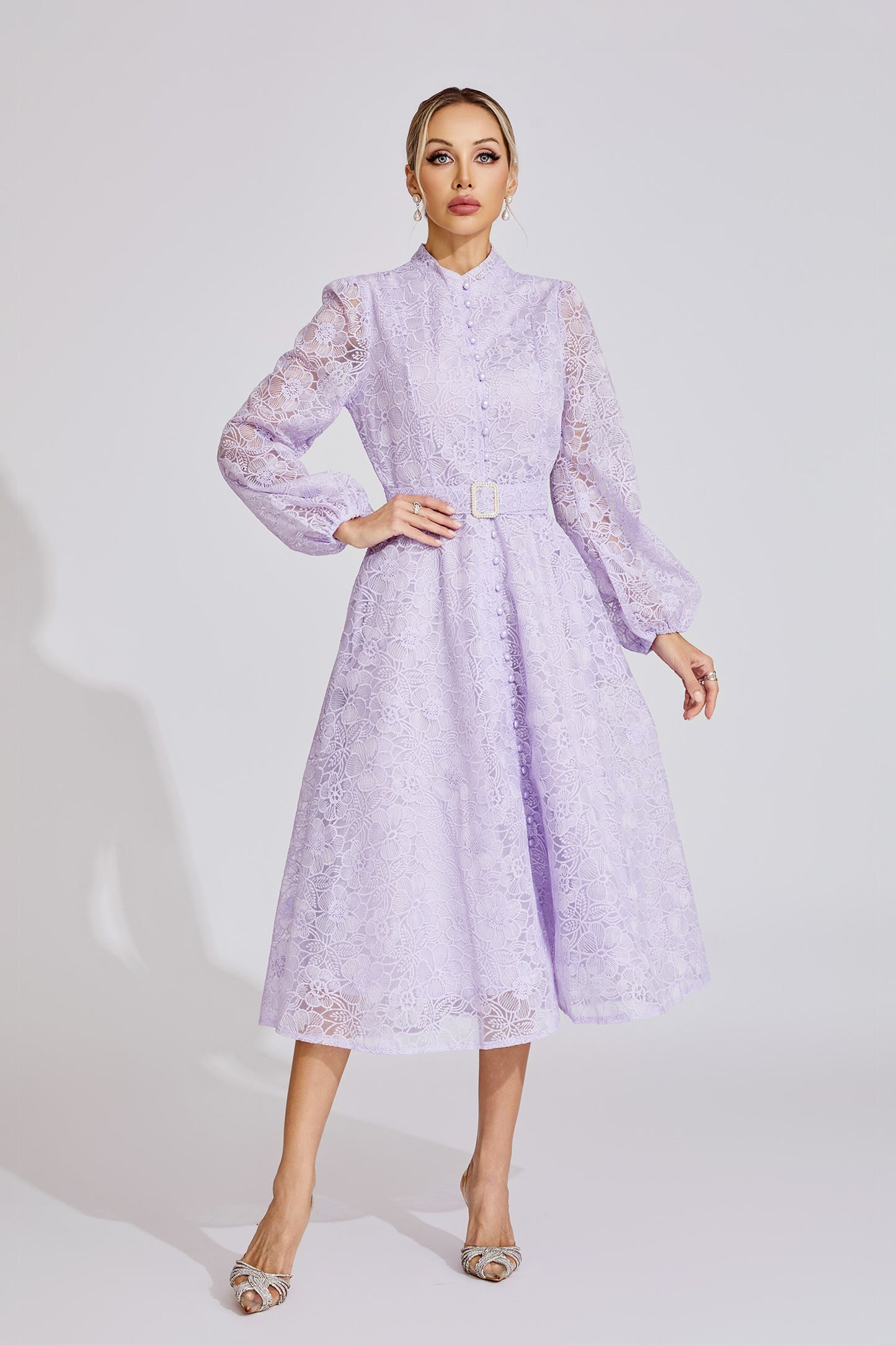Liliane Embroidered Lace Midi Dress
