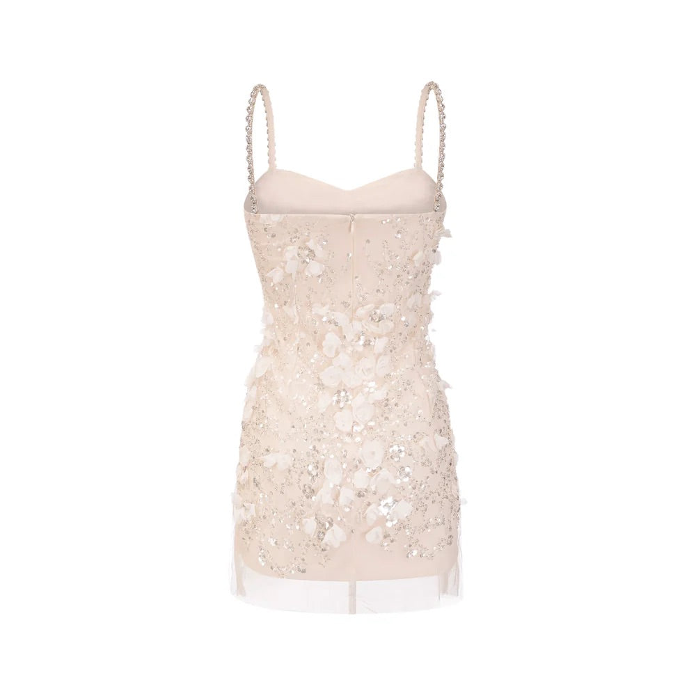 Eva mesh sequin mini dress