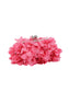 Petal clutch/bag (8077968572654)